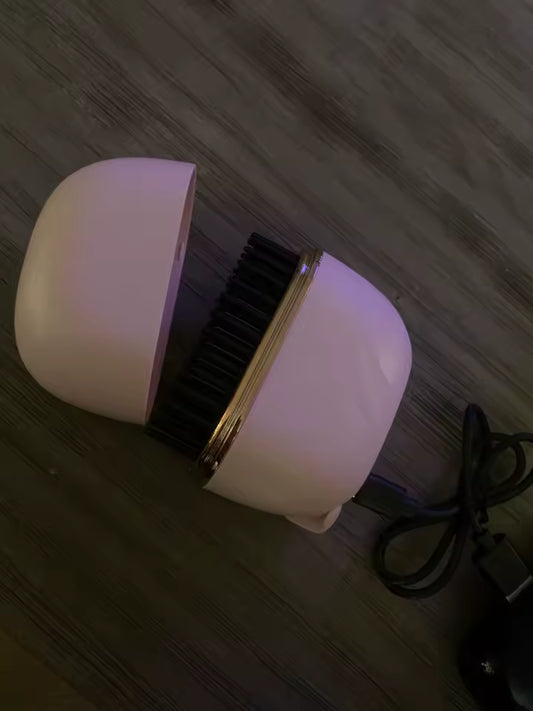 Brosse Lissante Portable Sans Fil
