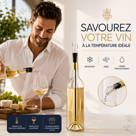 Bâton Refroidisseur de Vin Inox 2-en-1