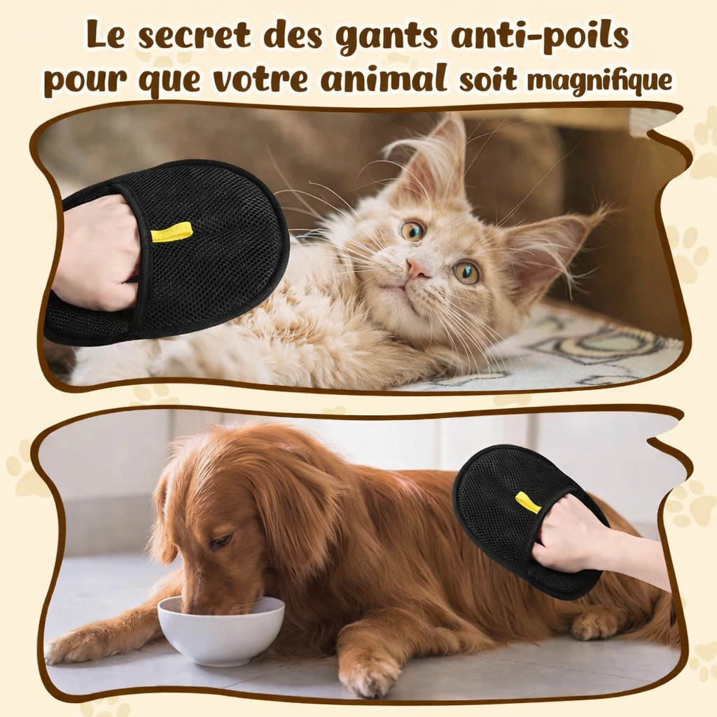 Gant Anti-Poils Réutilisable Ultra Efficace