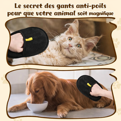 Gant Anti-Poils Réutilisable Ultra Efficace