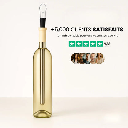 Bâton Refroidisseur de Vin Inox 2-en-1